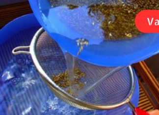 დიდი ხნის განმავლობაში მქონდა დარღვეული საჭმლის მონელება საკმარისი იყო ცოტა ცხიმიანი საკვები მიმეღო, რომ მაშინვე ამეშლებოდა კუჭი,მიგროვდებოდა გაზებიც, ამიტომაც ამ ნაყენის მიღება გადავწყვიტე. .