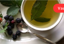 უებარი საშუალებაა მაყვლის ძირების (ფესვების) ან ფოთლების ნახარში, რომელიც თქვენს ორგანიზმს აი რა სარგებელს მოუტანს. .! მე ვცადე და კმაყოფილი ვარ