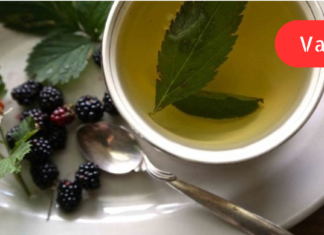 უებარი საშუალებაა მაყვლის ძირების (ფესვების) ან ფოთლების ნახარში, რომელიც თქვენს ორგანიზმს აი რა სარგებელს მოუტანს. .! მე ვცადე და კმაყოფილი ვარ