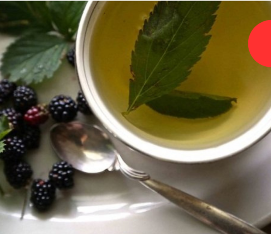 უებარი საშუალებაა მაყვლის ძირების (ფესვების) ან ფოთლების ნახარში, რომელიც თქვენს ორგანიზმს აი რა სარგებელს მოუტანს. .! მე ვცადე და კმაყოფილი ვარ