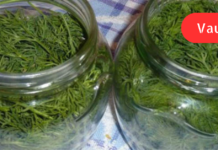 “ჩემი შვილი რამდენიმე თვისაა. ძალიან აწუხებს მუცლის შებერილობა, ე.წ. გაზები და უძილობა! ეს ნაყენი მირჩიეს, რომელიც მართლაც ეფექტური აღმოჩნდა”. .