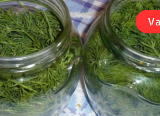 “ჩემი შვილი რამდენიმე თვისაა. ძალიან აწუხებს მუცლის შებერილობა, ე.წ. გაზები და უძილობა! ეს ნაყენი მირჩიეს, რომელიც მართლაც ეფექტური აღმოჩნდა”. .