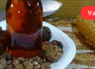 წლების განმავლობაში მტანჯავდა ბრონქიტი. ახლახანს კი მივაგენი მის სამკურნალო ძალიან ეფექტიან საშუალებას — დინდგელს!