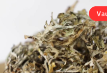 სასწრაფოდ! ეს გასაოცარი ნარევი რეგულარული მიღების შემდგომ გაიწოვს ლორწოს ბრონქებიდან