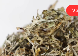 სასწრაფოდ! ეს გასაოცარი ნარევი რეგულარული მიღების შემდგომ გაიწოვს ლორწოს ბრონქებიდან