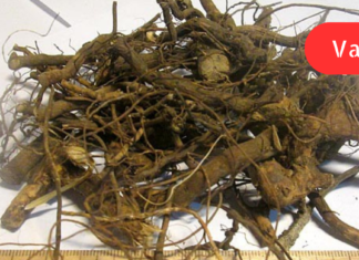 თუ ხშირად გაწუხებთ დიარეა, მაშინ ეს ხალხური საშუალება აუცილებლად უნდა სცადოთ!