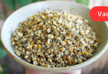 ველური გვირილა შესანიშნავი სამკურნალო საშუალებაა მუცლის შებერილობის, ფაღარათის და ალერგიის დროს!