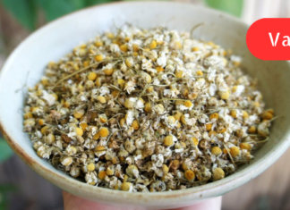 ველური გვირილა შესანიშნავი სამკურნალო საშუალებაა მუცლის შებერილობის, ფაღარათის და ალერგიის დროს!