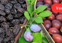 მინდა ყველას ვასწავლო ჰეპატიტის სამკურნალო წამალი. ამ დაავადებას ვირუსები იწვევს და ამიტომ მისგან თავის დასაღწევად ვირუსების საწინააღმდეგო საშუალება უნდა მიიღოთ!