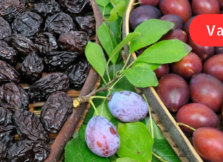 მინდა ყველას ვასწავლო ჰეპატიტის სამკურნალო წამალი. ამ დაავადებას ვირუსები იწვევს და ამიტომ მისგან თავის დასაღწევად ვირუსების საწინააღმდეგო საშუალება უნდა მიიღოთ!