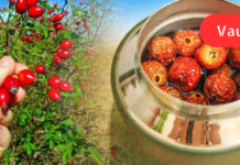 “მაქვს ღვიძლის ციროზი, პერიოდულად მუცლის ღრუში მიგროვდება ხოლმე მცირე რაოდენობით სითხე! ნაცნობმა კი მასწავლა ძალიან მარტივი რეცეპტი. .”