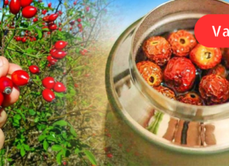 “მაქვს ღვიძლის ციროზი, პერიოდულად მუცლის ღრუში მიგროვდება ხოლმე მცირე რაოდენობით სითხე! ნაცნობმა კი მასწავლა ძალიან მარტივი რეცეპტი. .”