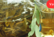 “ახლა რეცეპტს გასწავლით და ყველა უშვილო ქალს ვუსურვებ, ჩემი სიხარული გაეზიარებინოს”!