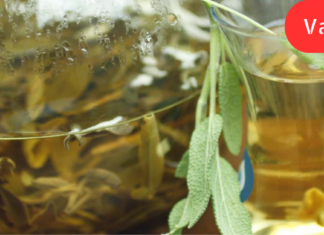 “ახლა რეცეპტს გასწავლით და ყველა უშვილო ქალს ვუსურვებ, ჩემი სიხარული გაეზიარებინოს”!