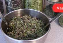 გთავაზობთ რეცეპტს, რომელმაც მომიგვარა გამუდმებული მაღალი წნევის და კუჭის წყლულის პრობლემები! იმედია თქვენც გამოგადაგებათ. .