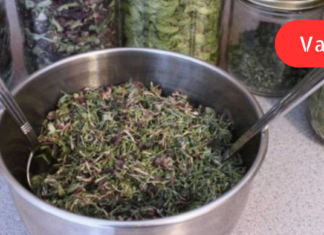 გთავაზობთ რეცეპტს, რომელმაც მომიგვარა გამუდმებული მაღალი წნევის და კუჭის წყლულის პრობლემები! იმედია თქვენც გამოგადაგებათ. .