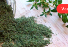 მცენარე რომელიც ჭრილობების შეხორცებაში და სისხლდენის შეჩერებაში დაგეხმარებათ! აქამდე გსმენიათ მის შესახებ?