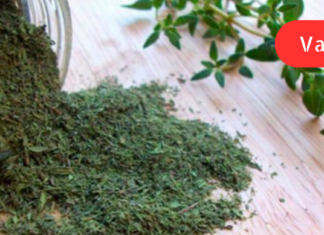 მცენარე რომელიც ჭრილობების შეხორცებაში და სისხლდენის შეჩერებაში დაგეხმარებათ! აქამდე გსმენიათ მის შესახებ?