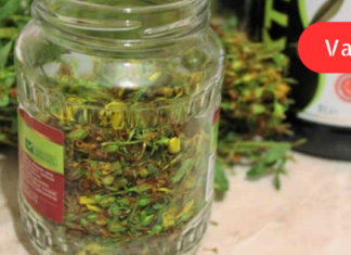 გიზიარებთ რეცეპტს, რომლის გამოყენებითაც არაერთმა ადამიანმა შეძლო თავი დაეღწია შემაწუხებელი დაავადებისგან — შარდის შეუკავებლობისგან! ეს ნარევი ნამდვილ შვებას მოგცემთ. .