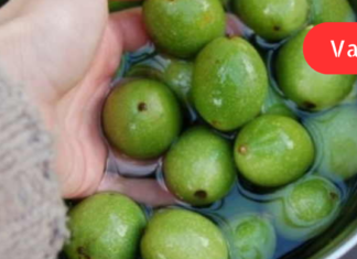 წლების განმავლობაში მაწუხებდა გულის ფრიალი, ხელები მიოფლიანდებოდა, ძალიან ნერვიული გავხდი. ექიმმა დამისვა ჩიყვის დიაგნოზი ამის შემდგომ აი, ეს გახდა ჩემი წამალი. .