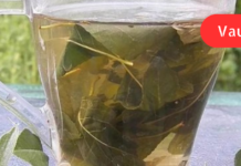 ქრონიკულად მქონდა ვიტამინების ძლიერი უკმარისობა, შვებით მხოლოდ მას შემდეგ ამოვისუნთქე, რაც დაფნის ფოთლის ნახარშის სმა დავიწყე!