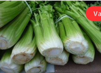 რამდენიმე წლის წინათ სახსრებმა შემაწუხა და პოდაგრის დიაგნოზი დამისვეს! ვიპოვე რამდენიმე უებარი ხალხური საშუალება და ფეხზეც წამოვდექი. .