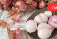 დღეს უამრავი წნევის წამალი იყიდება აფთიაქში, მაგრამ ბევრ მათგანს სამკურნალო ეფექტთან ერთად უკუეფექტებიც აქვს! ქიმიური წამლების ნაცვლად მცენარეულ რეცეპტებს დავუწყე ძებნა და არც შევმცდარვარ. . აი შედეგიც