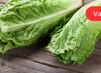 იცოდით?! სალათის ნაყენი ბევრ საძილე ქიმიურ პრეპარატზე ეფექტიანად მოქმედებს, თანაც სრულიად უვნებელია!