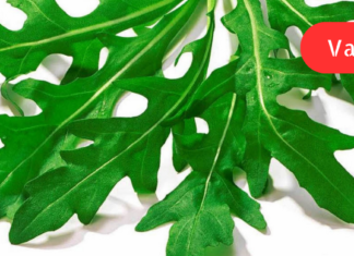 რუკოლის სარგებელი! გსმენიათ ამ შესანიშნავი მწვანილის სარგებელის შესახებ? გაიგეთ ვინ უნდა მიირთვას 1 კონა მწვანილი ყოველდღე