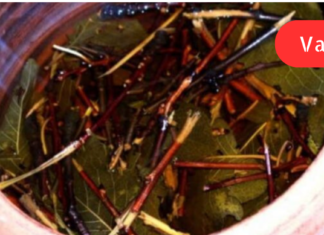 იცოდით ორგანიზმზე ალუბლის ტოტების სარგებელის შესაზებ?! სამკურნალო ნახარშის 2 გამოცდილი რეცეპტი