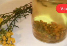 “კუჭის წყლული სწრაფად რომ შეხორცდეს, მიიღეთ ჩვეულებრივი ასფურცელას ნაყენი! დამერწმუნეთ ეს ყველაზე ეფექტური რამ აღმოჩნდა რაც კი გვიცდია”. .