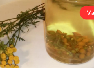 “კუჭის წყლული სწრაფად რომ შეხორცდეს, მიიღეთ ჩვეულებრივი ასფურცელას ნაყენი! დამერწმუნეთ ეს ყველაზე ეფექტური რამ აღმოჩნდა რაც კი გვიცდია”. .