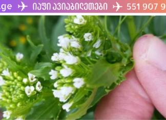 60 წლის ვარ და ბოლო 5 წლის განმავლობაში მაწუხებდა თავში ზუზუნის და ხმაურის ხმები! ეს ნამდვილად ჯოჯოხეთი იყო, თუმცა ეს ნამდვილი შვება აღმოჩნდა ჩემთვის. .