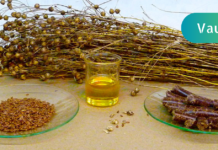 “მქონდა დიფუზური მასტოპათია! ოპერაციის გაკეთებაზე უარი ვთქვი, ხოლო ნაცნობმა მირჩია, მცენარეული საშუალებებით მემკურნალა, მეც ვენდე და მათი მეშვეობით დავამარცხე ჩემი დაავადებაც . .”