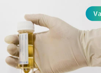 რატომ შეიძლება ჰქონდეს შარდს უსიამოვნო სუნი? ამის გამომწვევი მთავარი მიზეზი დიაბეტი და სხვადასხვა პროდუქტების ჩამონათვალია.. გაეცანით დეტალურად