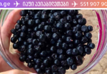 დაემშვიდობეთ ახლომხედველობას!! 2 წუთი და დღეში მხოლოდ 1 ჭიქა კენკრა