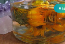 ნაყენი, რომელიც ნებისმიერი სახის ანთებას აქრობს ორგანიზმში!