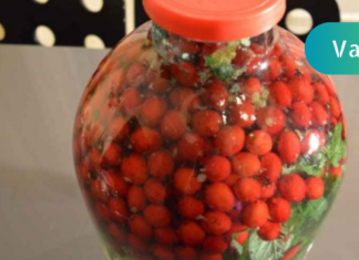 მცენარეული ნაყენი, რომელსაც ჩვენი ბებიები გულის და ნერვულის სისტემის დასამშვიდებლად გამოიყენებდნენ!