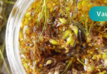 ჭრილობების და დამწვრობის სსამკურნალო საშუალება, რომელიც სახლში ყველას უნდა ჰქონდეს! გთავაზობთ მომზადების საუკეთესო მეთოდს