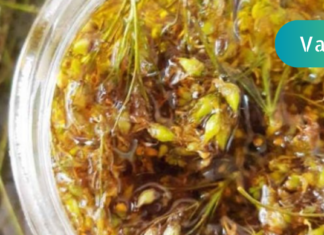 ჭრილობების და დამწვრობის სსამკურნალო საშუალება, რომელიც სახლში ყველას უნდა ჰქონდეს! გთავაზობთ მომზადების საუკეთესო მეთოდს