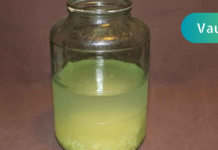 ნაყენი, რომლის მიღების შემთხვევაშიც 70 წლისას ისეთივე კარგი მეხსიერება გექნებათ, როგორც 25 წლის ასაკში!!