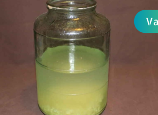 ნაყენი, რომლის მიღების შემთხვევაშიც 70 წლისას ისეთივე კარგი მეხსიერება გექნებათ, როგორც 25 წლის ასაკში!!