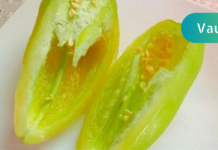 მიზეზი თუ რატომ უნდა მიირთვათ დღეში ერთი ცალი ბულგარული წიწაკა მაინც! მისი წაარმოუდგენელი შედეგები ორგანიზმზე