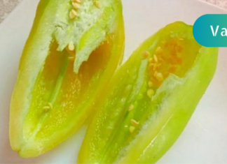 მიზეზი თუ რატომ უნდა მიირთვათ დღეში ერთი ცალი ბულგარული წიწაკა მაინც! მისი წაარმოუდგენელი შედეგები ორგანიზმზე