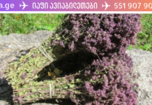 თავშავა – ჯანმრთელობისთვის შეუცვლელი ბალახი, გაიგეთ მეტი თუ რატომაა ასეთი სასარგებლო იგი . .