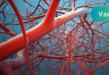 გაწუხებთ სისხლის ცუდი მიმოქცევა? გაიგეთ მეტი მისი სიმპტომების, გამომწვევი მიზეზები და რეცეპტების შესახებ, რომელიც მისი აქტივაციისთვის გამოგადგებათ