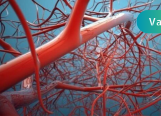 გაწუხებთ სისხლის ცუდი მიმოქცევა? გაიგეთ მეტი მისი სიმპტომების, გამომწვევი მიზეზები და რეცეპტების შესახებ, რომელიც მისი აქტივაციისთვის გამოგადგებათ