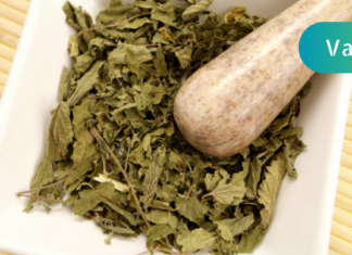 ჭინჭარი – როგორც სამკურნალო სარეველა მრავალი დაავადების საწინააღმდეგოდ! მისი ფოთლების გამოყენების საუკეთესო მიზეზებია. .