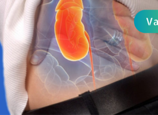 თირკმლების ფუნქციონირების აღსადგენად სცადეთ ეს 5 პროდუქტი, რომლებით ცხოვრებას გაგიმარტივებთ!!