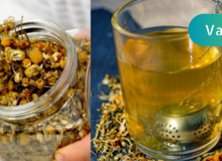 რას კურნავს გვირილის ჩაი: მედიცინაში დადასტურებული 10 თვისება